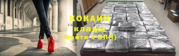 индика Алексин