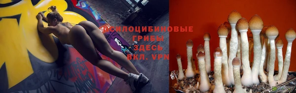 jwh Алексеевка