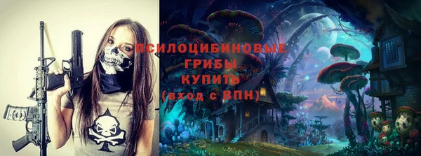 индика Алексин