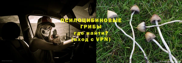 индика Алексин