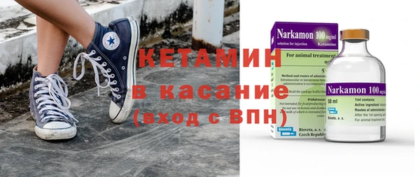 индика Алексин