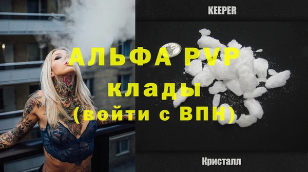 индика Алексин