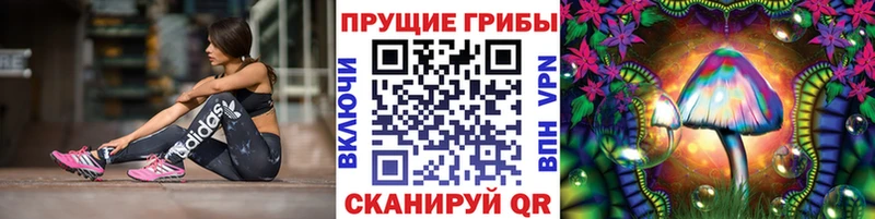 omg   Когалым  Псилоцибиновые грибы Cubensis 